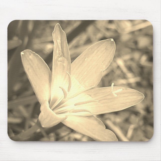 GIFT FOR NATURE LOVER WITH FLOWER MOUSE MAT (Front)