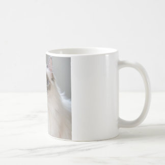 gift mug