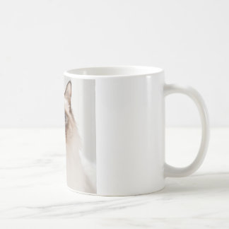 gift mug
