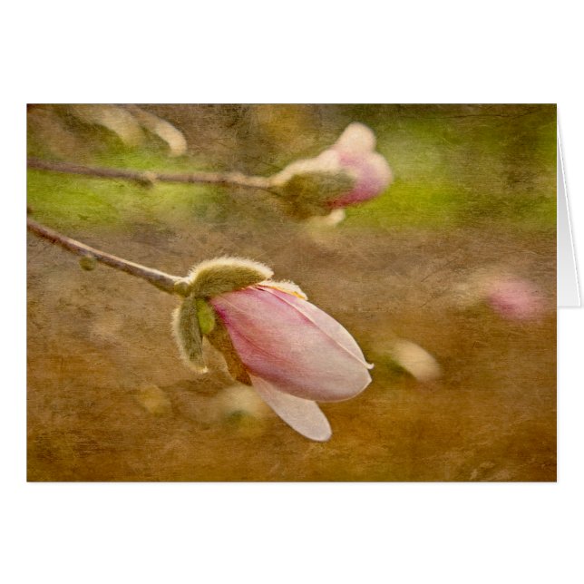 Gift of Hope (Front Horizontal)