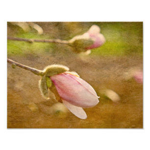Gift of Hope Photo Print
