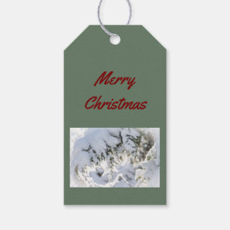 Gift Tag: Christmas Snow on Evergreen Gift Tags