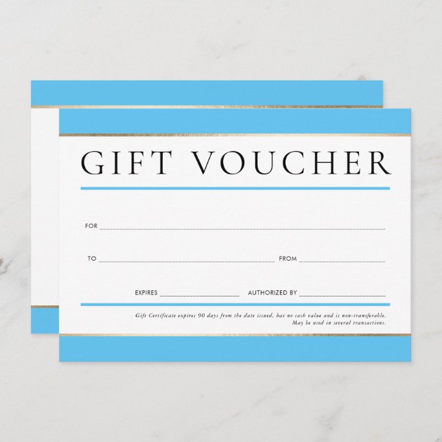 GIFT VOUCHER modern elegant business AQUA BLUE Invitation (Front/Back)