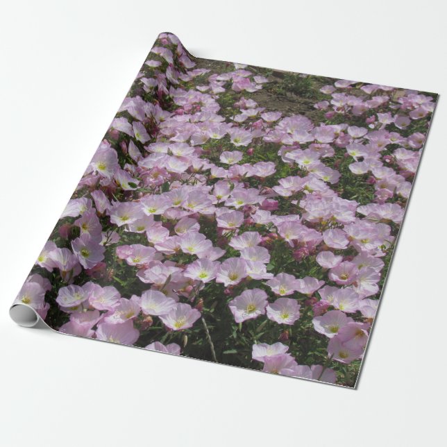 Gift Wrap - Field of Pink Primrose (Unrolled)