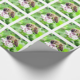 Gift Wrap - Honey Bee on Clover