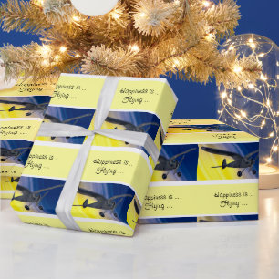 Gift Wrap - Model Aeroplane