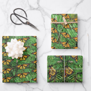 Gift Wrap Paper Monarchs on Pine Boughs