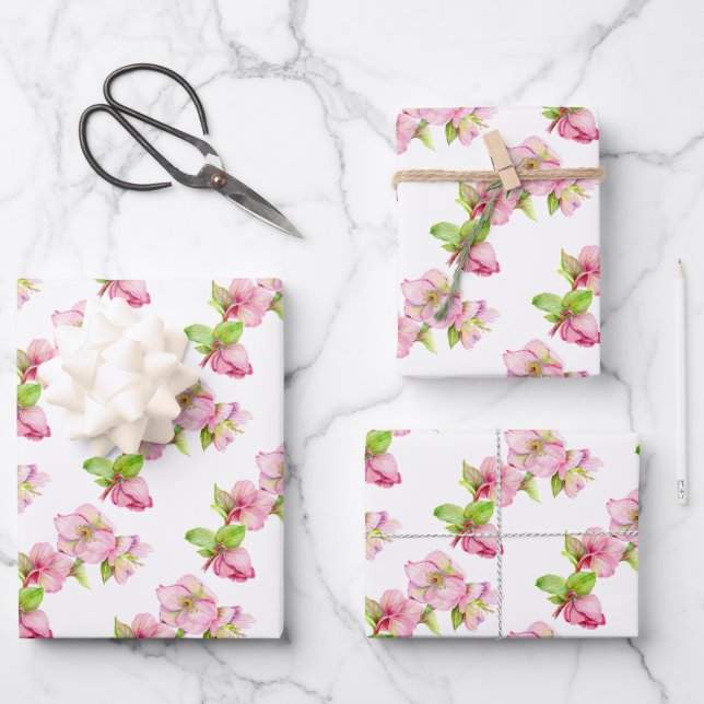 Gift Wrap Paper Sheets - Pink Hellebore Flower (Front)