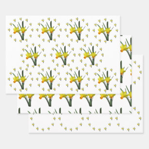 Gift Wrap Set - Daffodil blossoms X 3