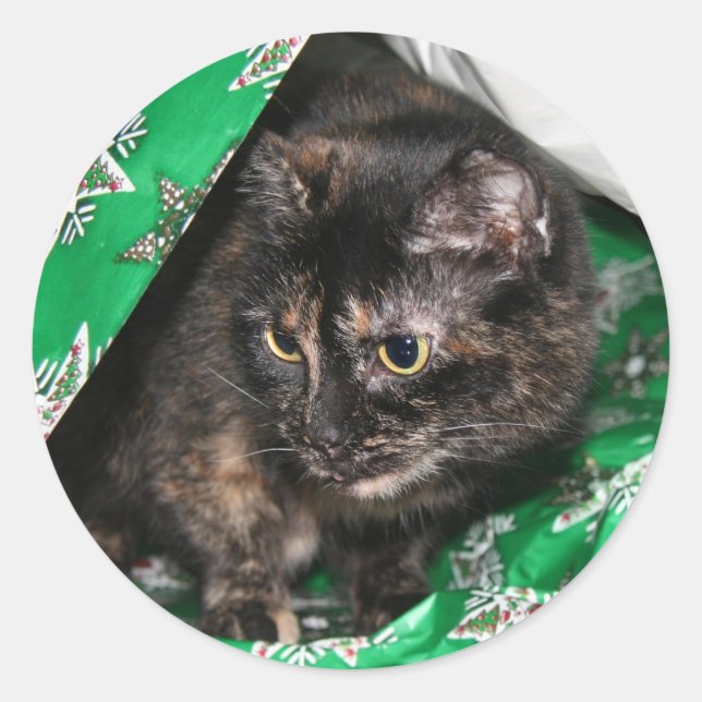 Gift wrapped kitty classic round sticker (Front)