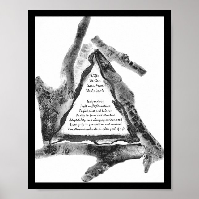 Gifts From Animals Poster (Front)