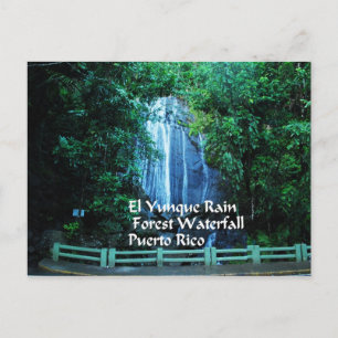 Gifts from the Caribbean Postcard