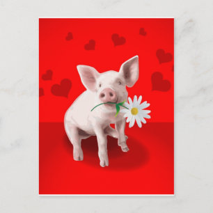 Gifts Postcard