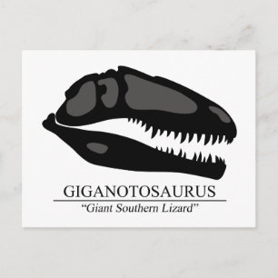 Giganotosaurus Skull Postcard