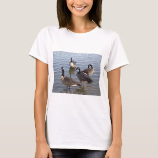 Giggling gaggle of geese T-Shirt