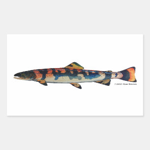Gila Trout;  Rectangular Sticker