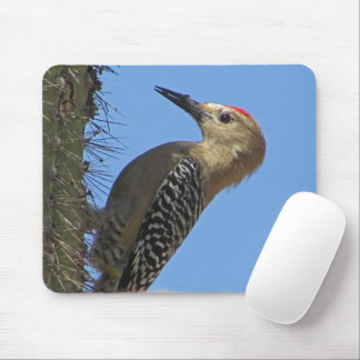 Gila Woodpecker Cactus Desert Bird Wildlife Photo Mouse Mat