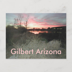 Gilbert Arizona Postcard