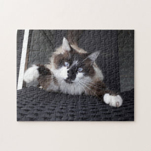 gimmy that! jigsaw puzzle