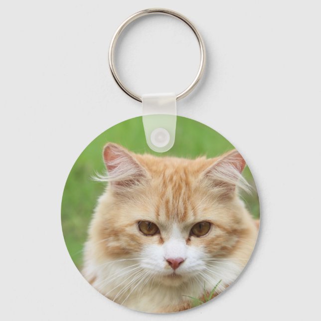 Ginger and White Cat, so cute! Key Ring (Front)