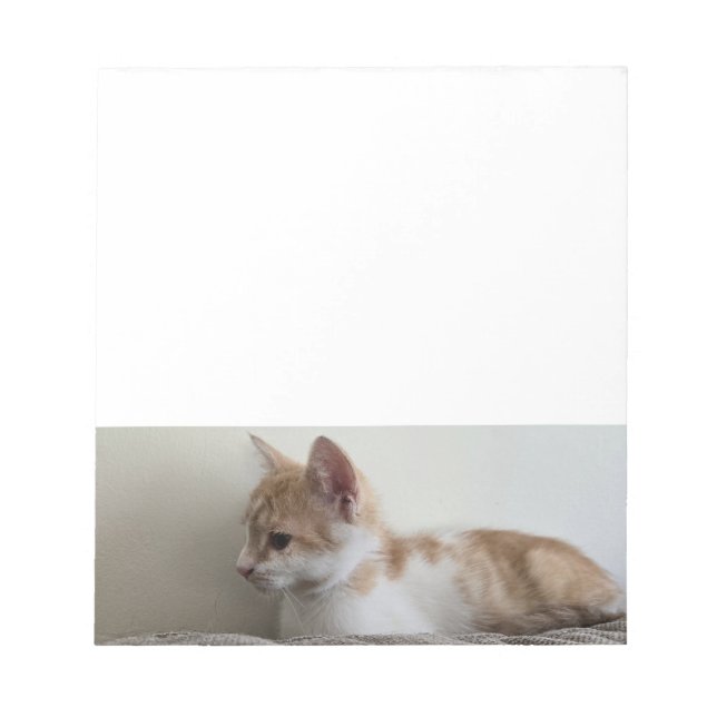 Ginger and White Kitten Notepad (Front)