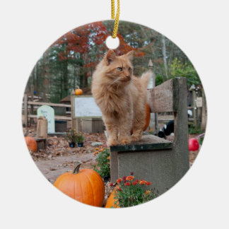 Ginger Cat and Pumpkins Ornament