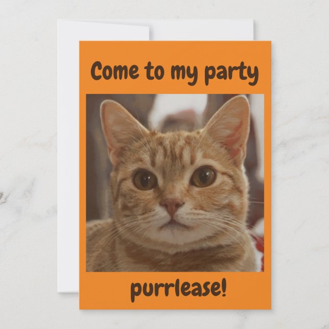 Ginger cat brown eyes party purrlease orange invitation (Front)