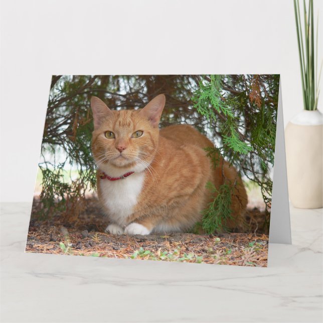 Ginger Cat Card (Front)