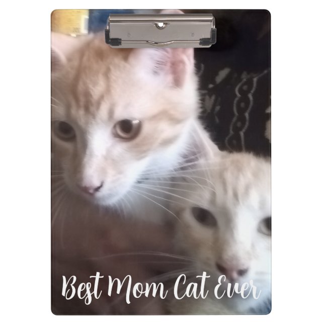 Ginger cat clipboard (Front)
