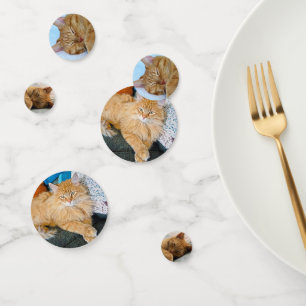 Ginger Cat Confetti