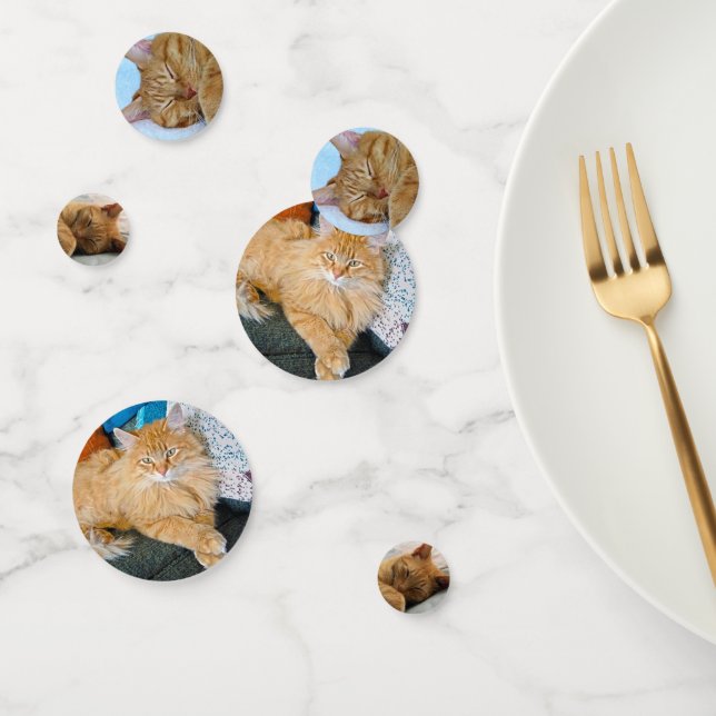 Ginger Cat Confetti (Group)