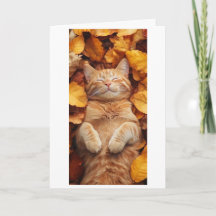 ginger cat enjoying a sleepy moment