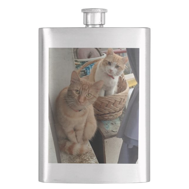 ginger cat flasks (Front)