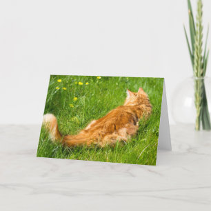 Ginger Cat In The Springtime Card