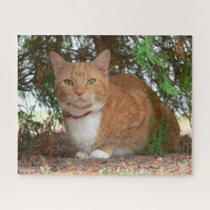 Ginger Cat Jigsaw Puzzle