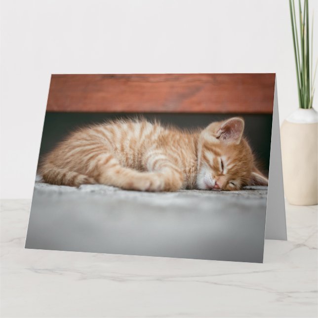 GINGER CAT KITTEN SLEEPING BIRTHDAY GREETING CARD (Front)