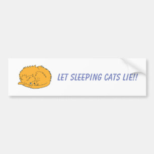 Ginger Cat Let Sleeping Cats Lie Bumper Sticker