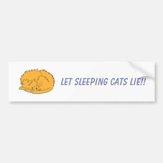 Ginger Cat Let Sleeping Cats Lie Bumper Sticker (Front)