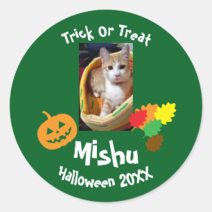 Ginger Cat Photo And Text, Customizable, Halloween Classic Round Sticker