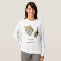 Ginger Cat Photo, Create Your Own, Gift