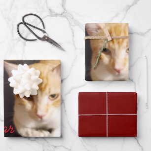 Ginger Cat Photo Text Customise Wrapping Paper Sheet