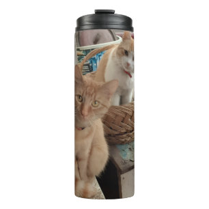 Ginger Cat Photo Thermal Tumbler