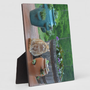 Ginger Cat Plaque