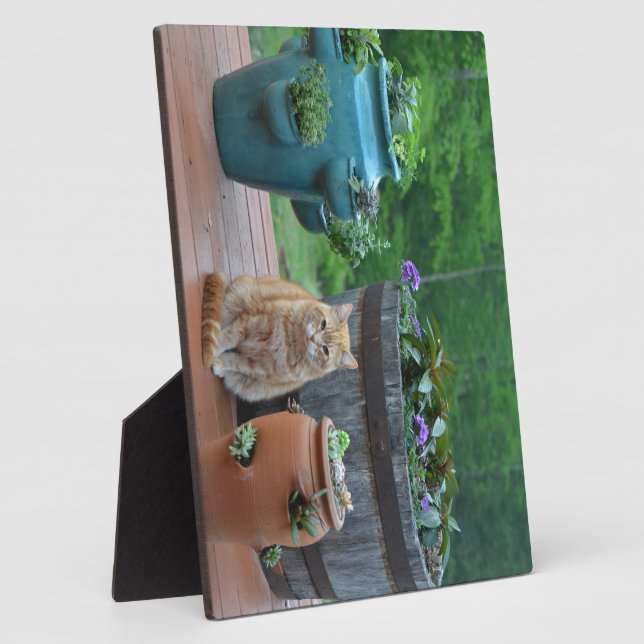 Ginger Cat Plaque (Side)