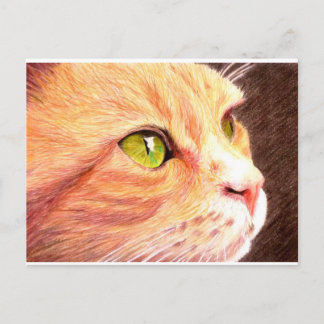 Ginger Cat Postcard