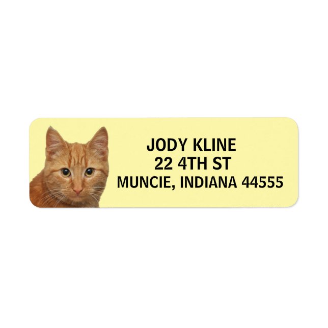 GINGER CAT  Return Address Label (Front)