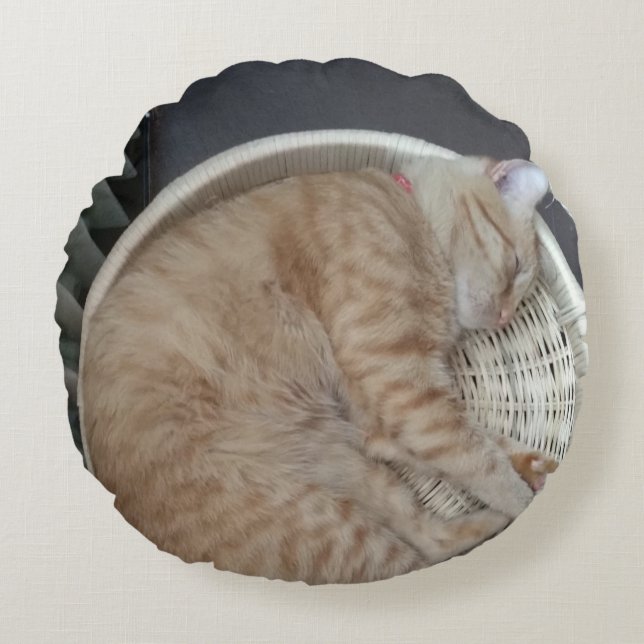 Ginger Cat Round Pillow (Front)