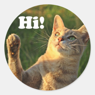 Ginger Cat Saying Hi! Classic Round Sticker