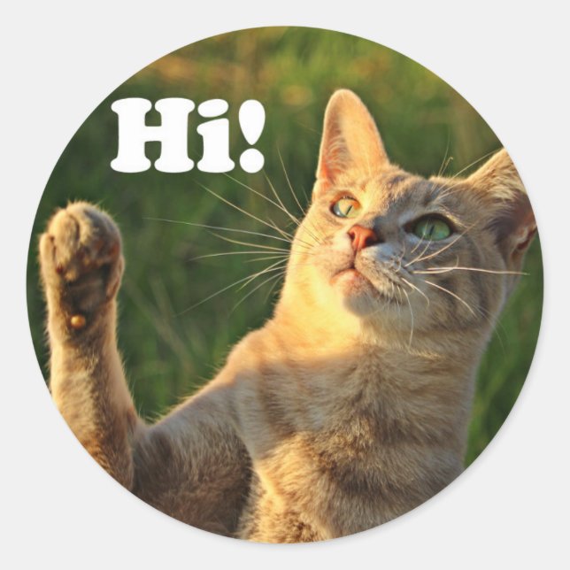 Ginger Cat Saying Hi! Classic Round Sticker (Front)