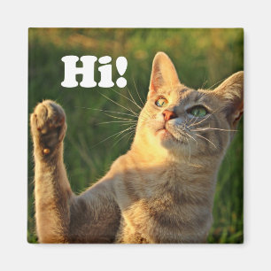 Ginger Cat Saying Hi! Magnet